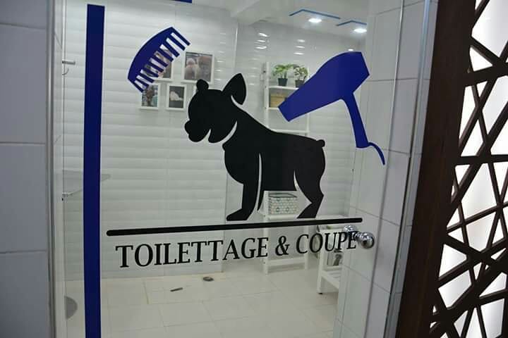 Porte vitrée de l'espace toilettage et coupe de la clinique