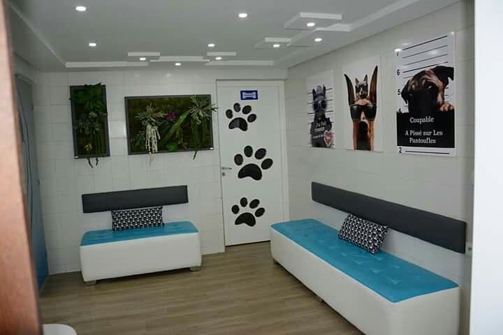Salle d'attente de la clinique vétérinaire avec banquettes et décor pattes de chien