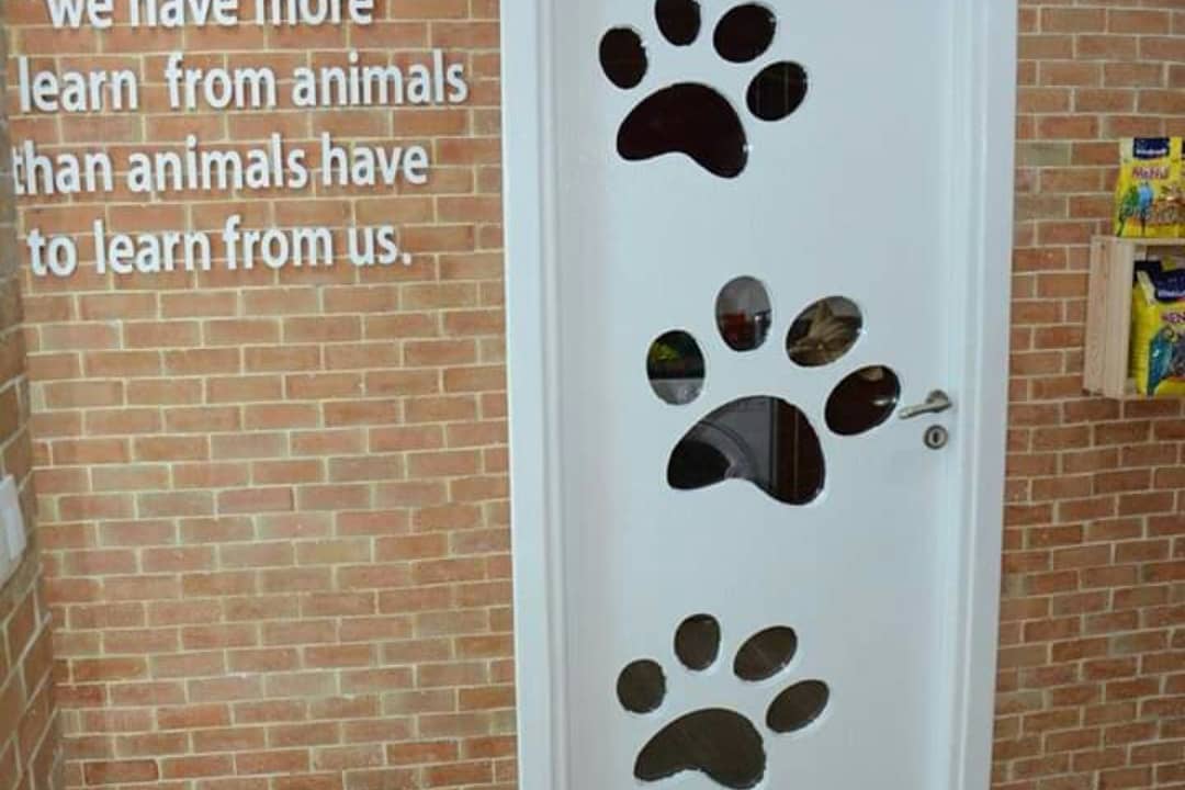 Porte décorée de pattes de chien à l'intérieur de la clinique